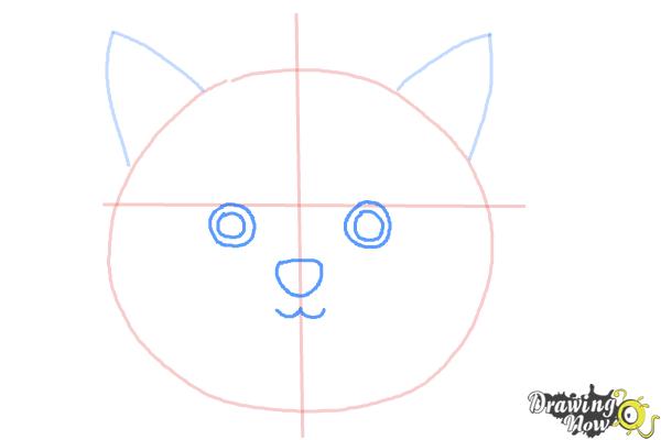 How to Draw a Cat Face | DrawingNow