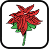 How to draw Poinsettia