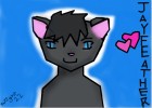 Warriors Jaypaw/Jayfeather