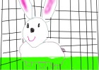 How to draw Rabbit in cage.