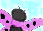 how to draw a butterfly