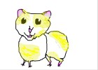 my other hamster maisey