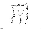 why i dont rush when im drawing wolfs