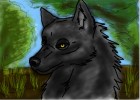 Wolf Doodle :P