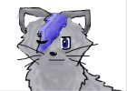 Gray Manga Cat =3