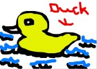 Easy Duck!!!