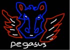 storm pegasus