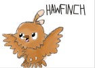 Hawfinch my first pokemon :)