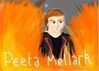 Peeta Mellark, "Star crossed lovers"