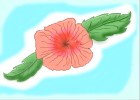 peach coloured hawaiian flower