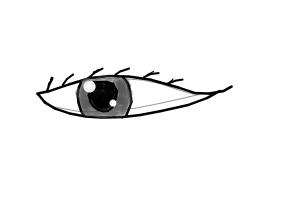 an eye