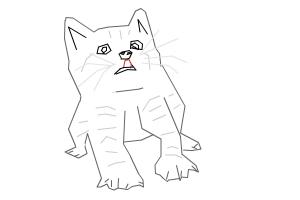 Cat fail (Common mistakes of drawing a cat)