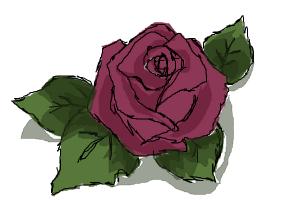 I used the tutorial How to draw a beutiful rose