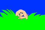 Puppy in Grass:3