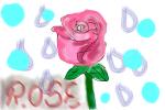 rose