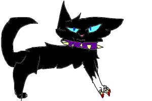 Scourge Warrior cats