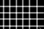 Shimmering Dots Illusion
