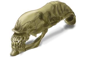 Alien Xenomorph Skull