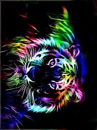 tiger colours - picture by EpicEmma - DrawingNow