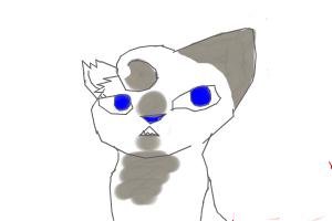 How to Draw Ivypool (My Style)