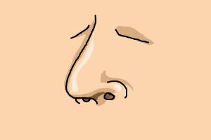 How to Draw a Cartoon Nose