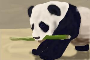 How to Draw a Baby Panda Eating Bamboo