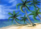 How to Draw Palm Trees