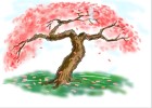 How to Draw Cherry Blossom Tree