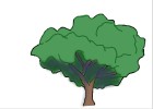 How to Draw a Tree