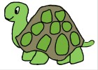 How to Draw a Turtle - DrawingNow