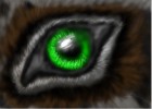 How to Draw a Wolf Eye - DrawingNow