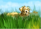 How to Draw a Dog Playing On The Grass