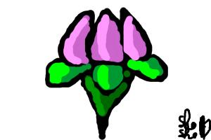 How to Daw a Flower - DrawingNow - 300 x 200 jpeg 8kB