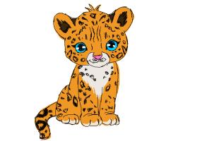 How to Draw a Cartoon Cheetah