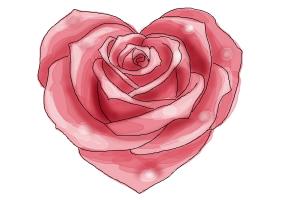 How to Draw a Heart Rose - DrawingNow - 300 x 200 jpeg 9kB