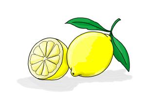 How to Draw a Lemon - DrawingNow - 300 x 200 jpeg 8kB