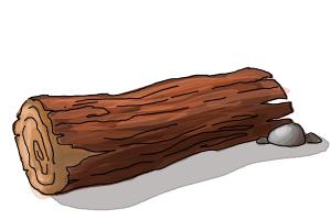 How to Draw a Log