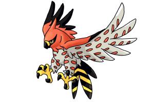How to Draw Talonflame from Pokemon X And Y