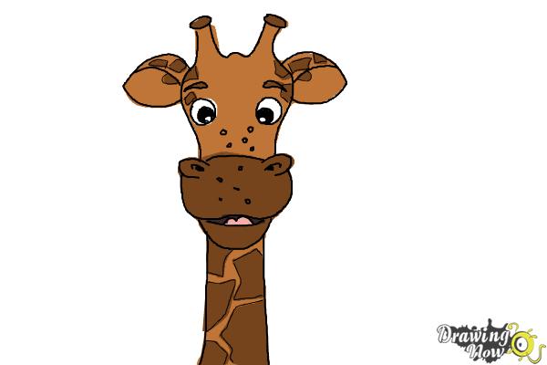 21 Easy Drawings of Giraffes for Kids  Cool Kids Crafts
