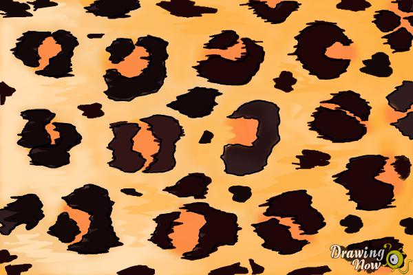 How to Draw Leopard Print - DrawingNow