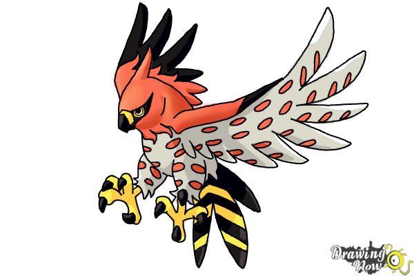 How to Draw Talonflame from Pokemon X And Y - DrawingNow