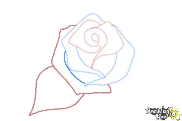beautiful drawings of roses