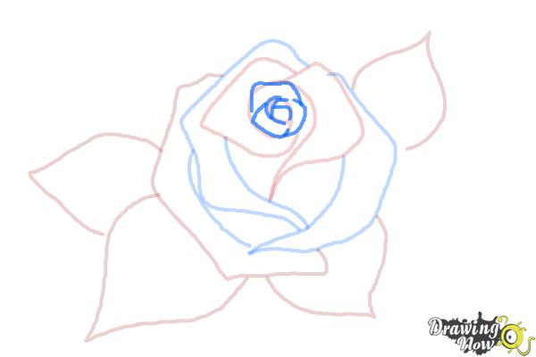 How to draw stepwise beautiful rose flower bud creation step  wall  stickers back to school vector instructing  myloviewcom