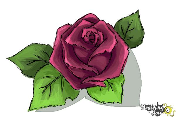how to draw a 3d rose