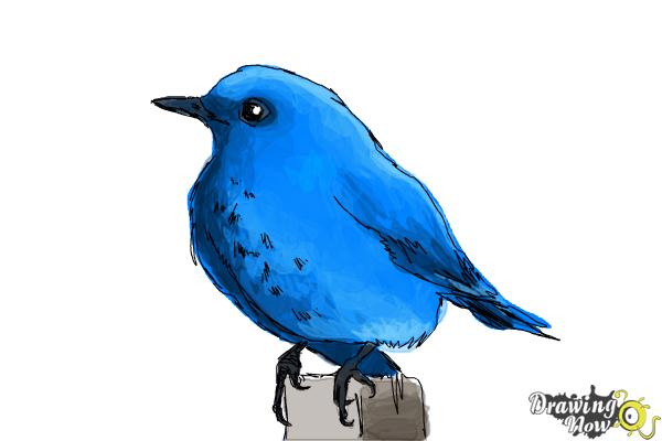 Blue Bird - Pen N Pencil - Drawings & Illustration, Animals, Birds, & Fish,  Birds, Bluebird - ArtPal