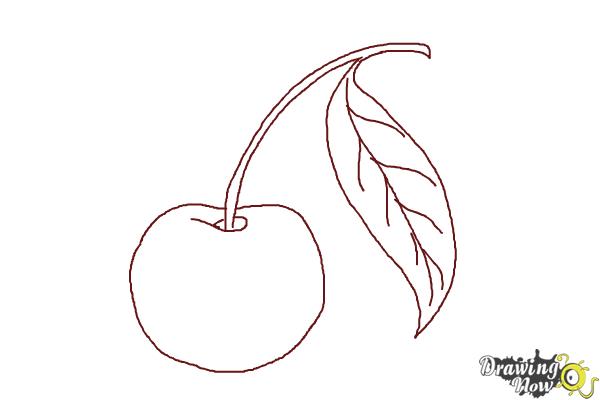 How to Draw a Cherry - DrawingNow