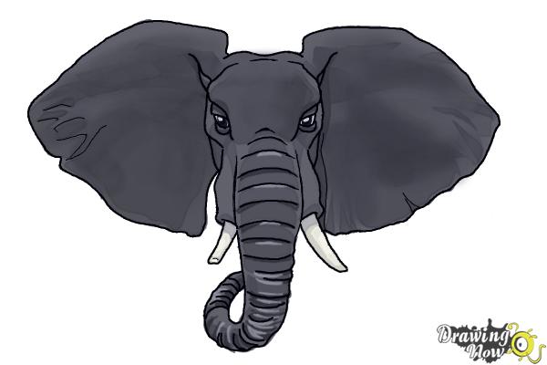 How To Draw An Elephant Face Drawingnow