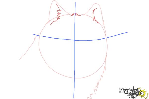 how to draw a realistic wolf face