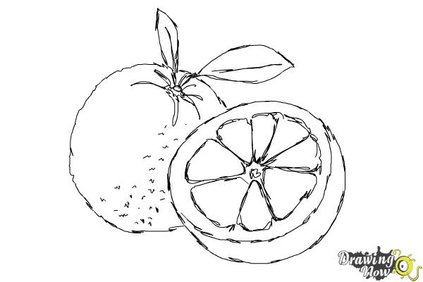 How to draw an orange slice easy | Fruits drawing