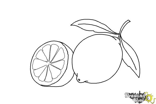 Premium Vector | Coloring and drawing book element lemon drawing of a  strawberry for children39s education